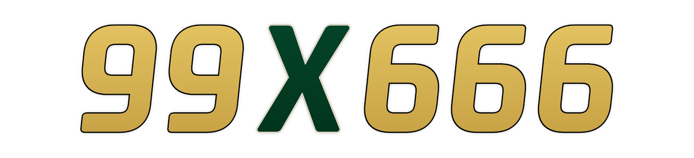99x666